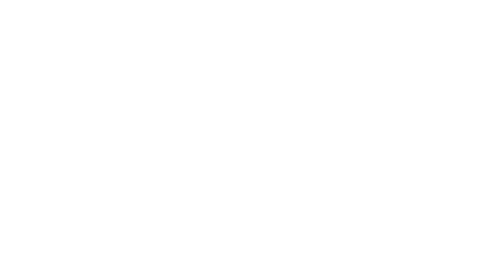 Bayer