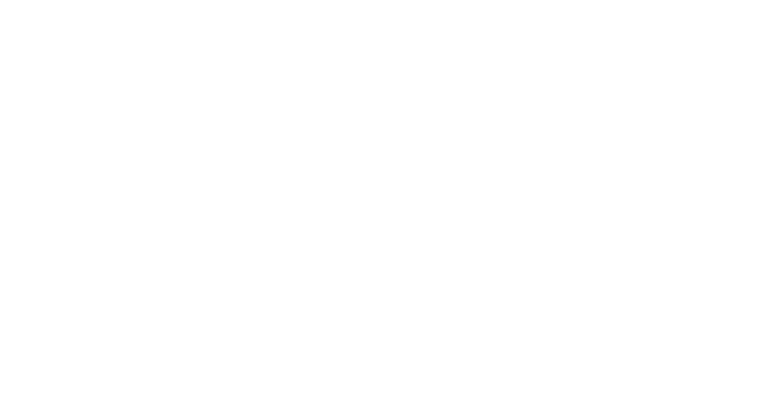 ZF